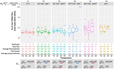 Conservation of shibire and RpII215 temperature-sensitive lethal mutations between Drosophila and Bactrocera tryoni